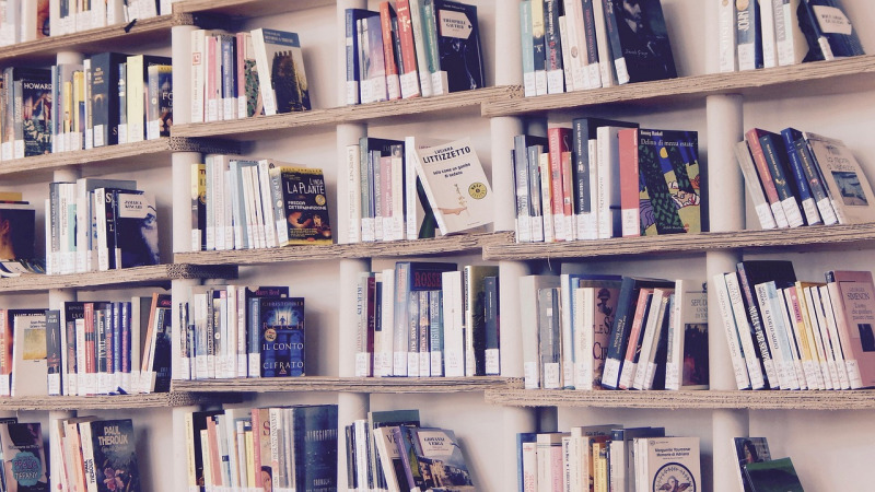 bookstore interior shelves cozy